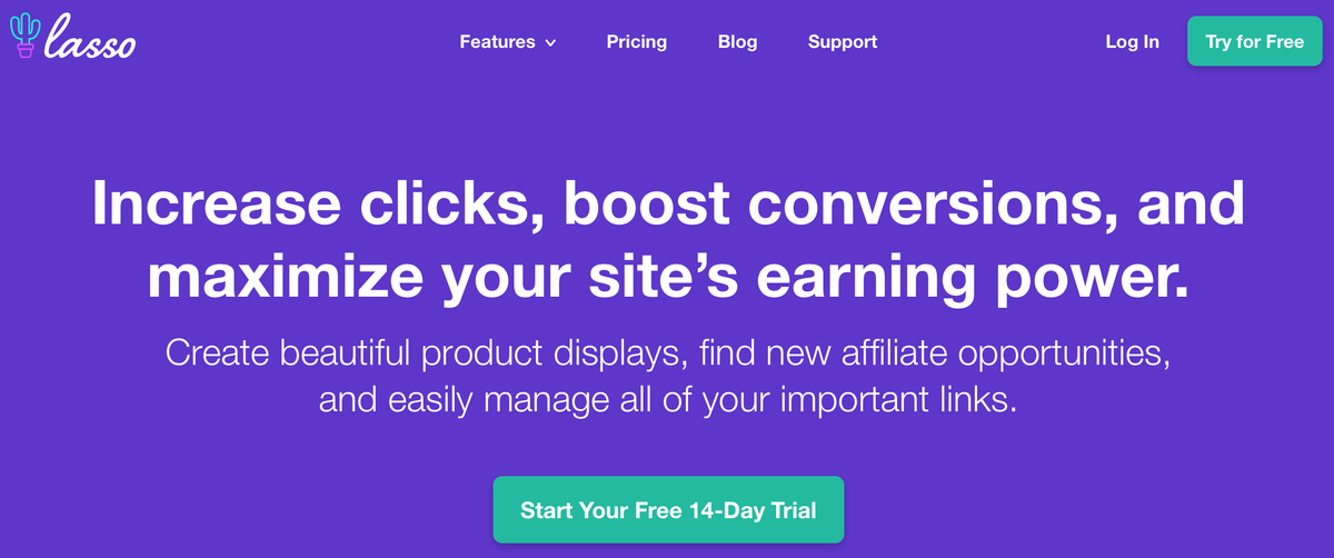 Lasso Affiliate Marketing WordPress Plugin Review